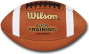 Wilson Slick Training Ball